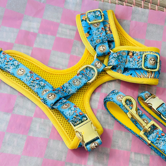 Midsummer Mutt Adjustable Dog Harness