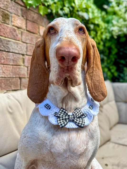 Scalloped Houndstooth Crochet Dog Collar in Black & White - Goodest Girl
