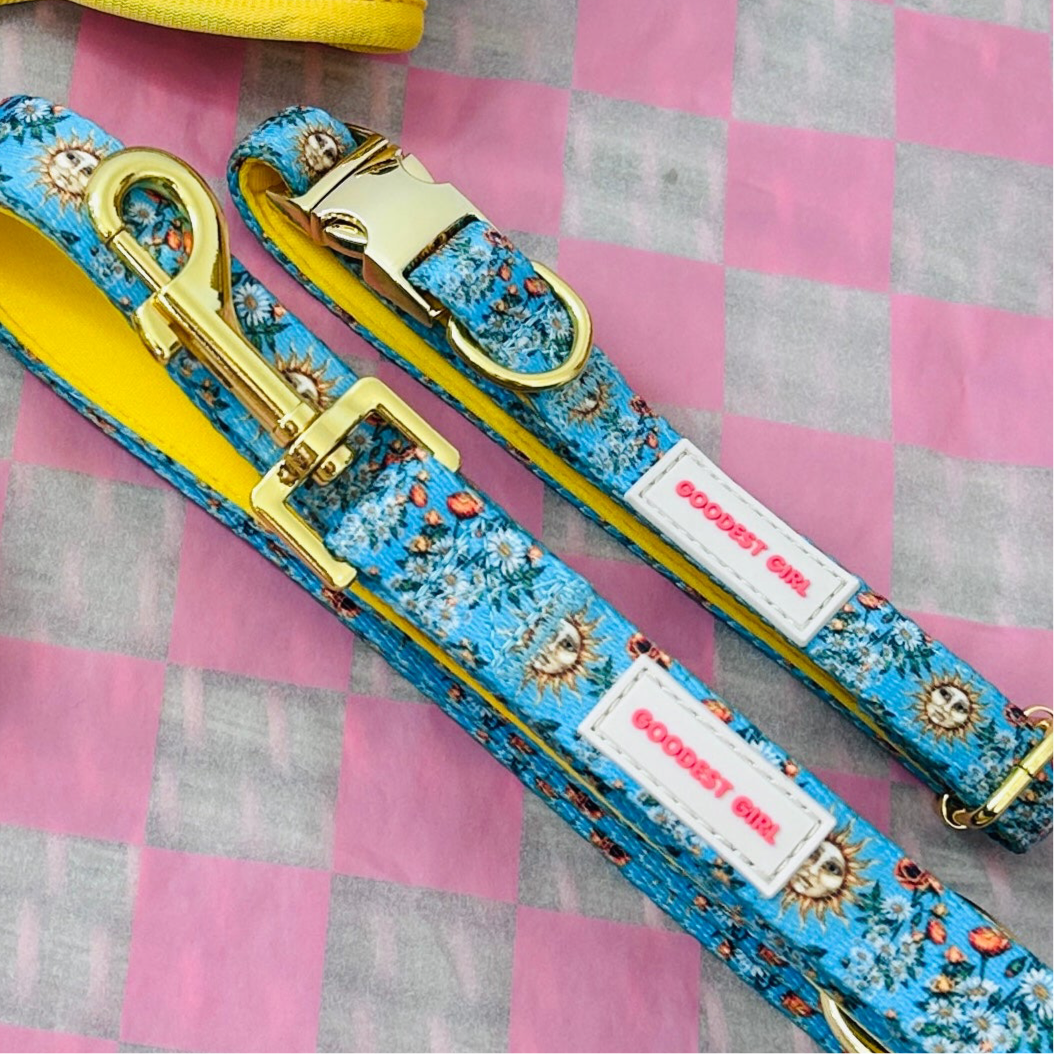 Midsummer Mutt Dog Harness, Collar & Lead Bundle