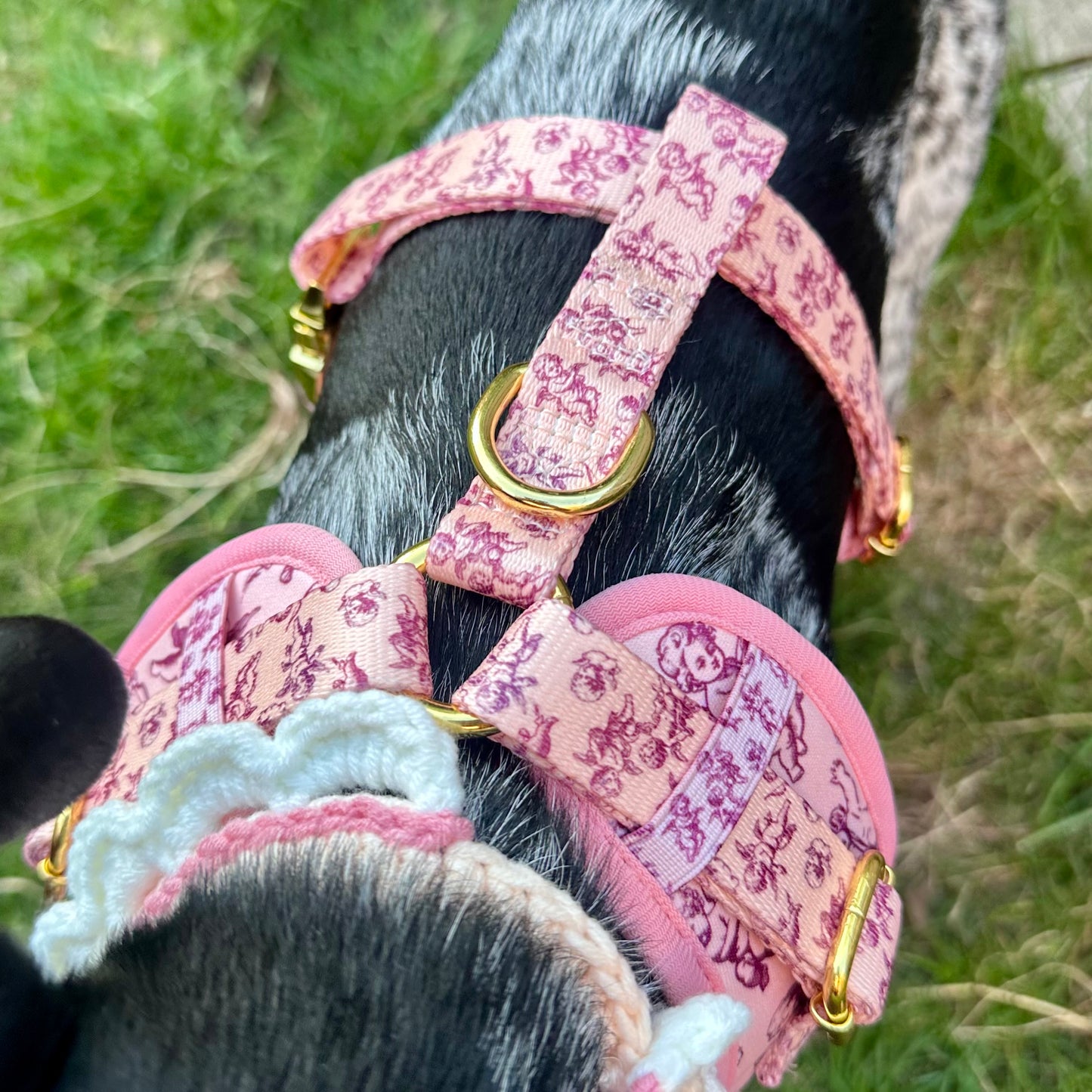 Cupid's Pup Adjustable Dog Harness - Goodest Girl