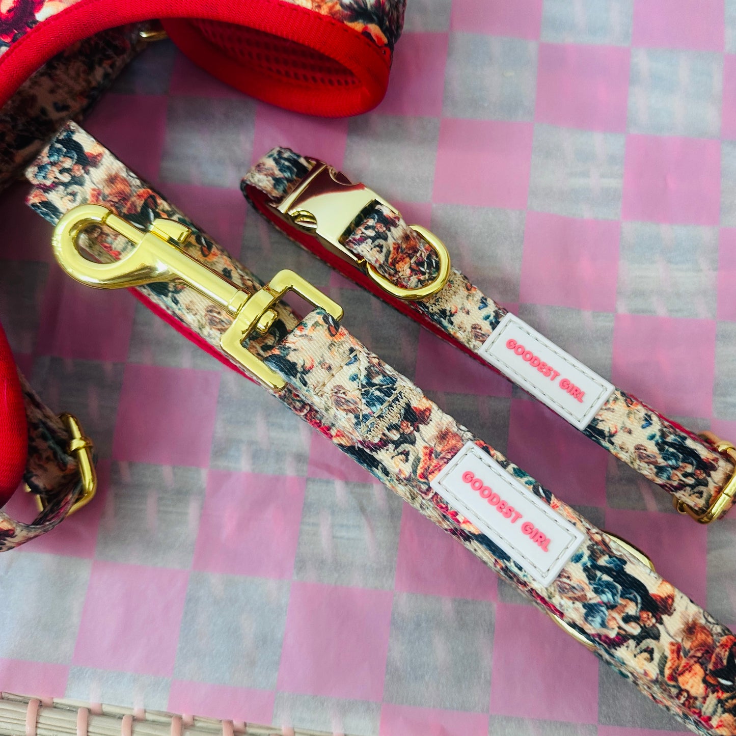 Tail of Venus Adjustable Dog Collar