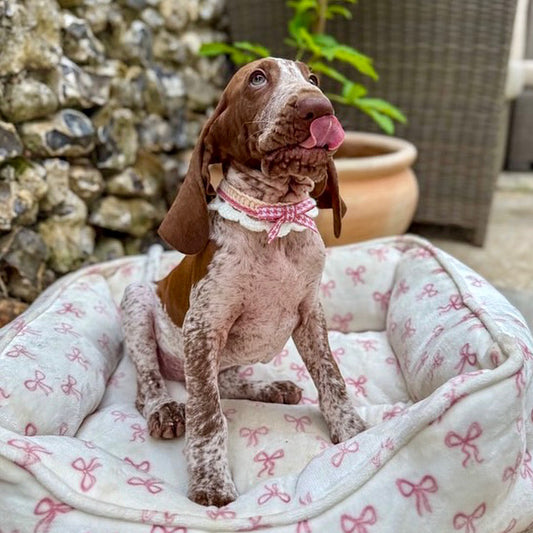 Pink Scalloped Edge Soft Knitted Dog Collar