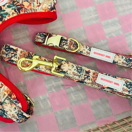 Tail of Venus Dog Lead