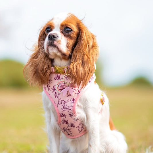 Cupid's Pup Adjustable Dog Harness
