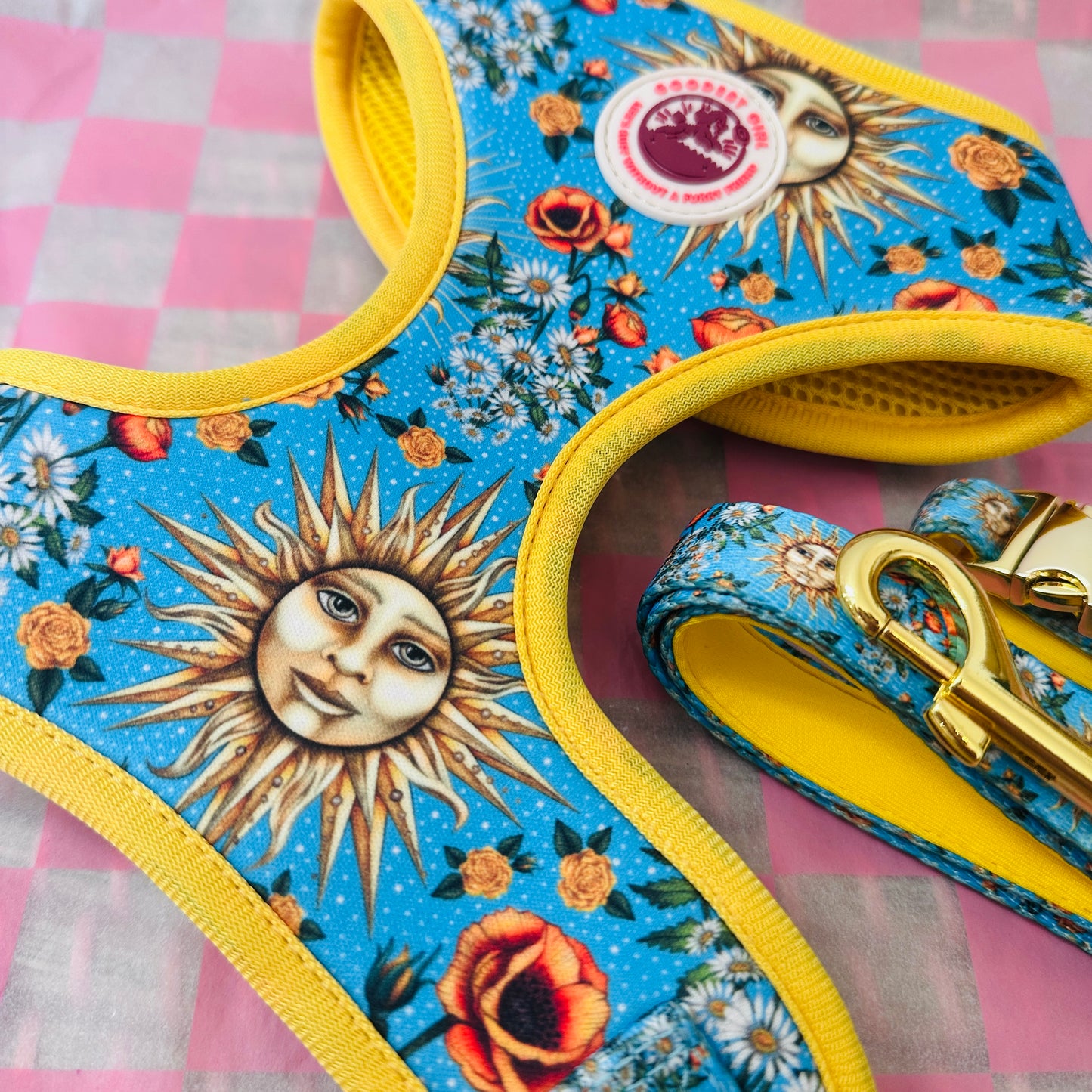 Midsummer Mutt Dog Harness, Collar & Lead Bundle