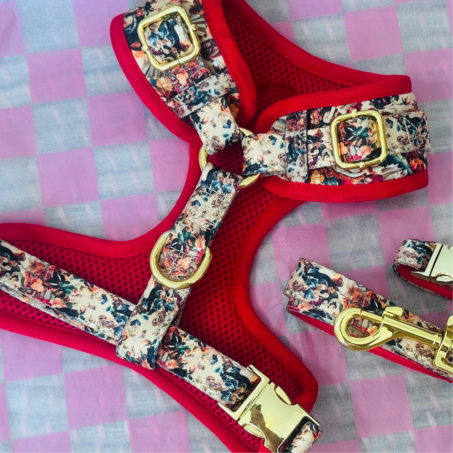 Tail of Venus Adjustable Dog Harness