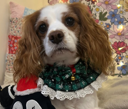 Black and Green Jingle Bell Ruffle Dog Collar