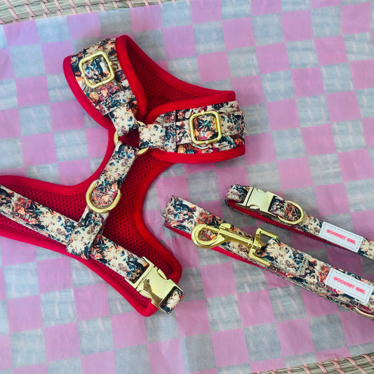 Tail of Venus Dog Harness, Collar & Lead Bundle