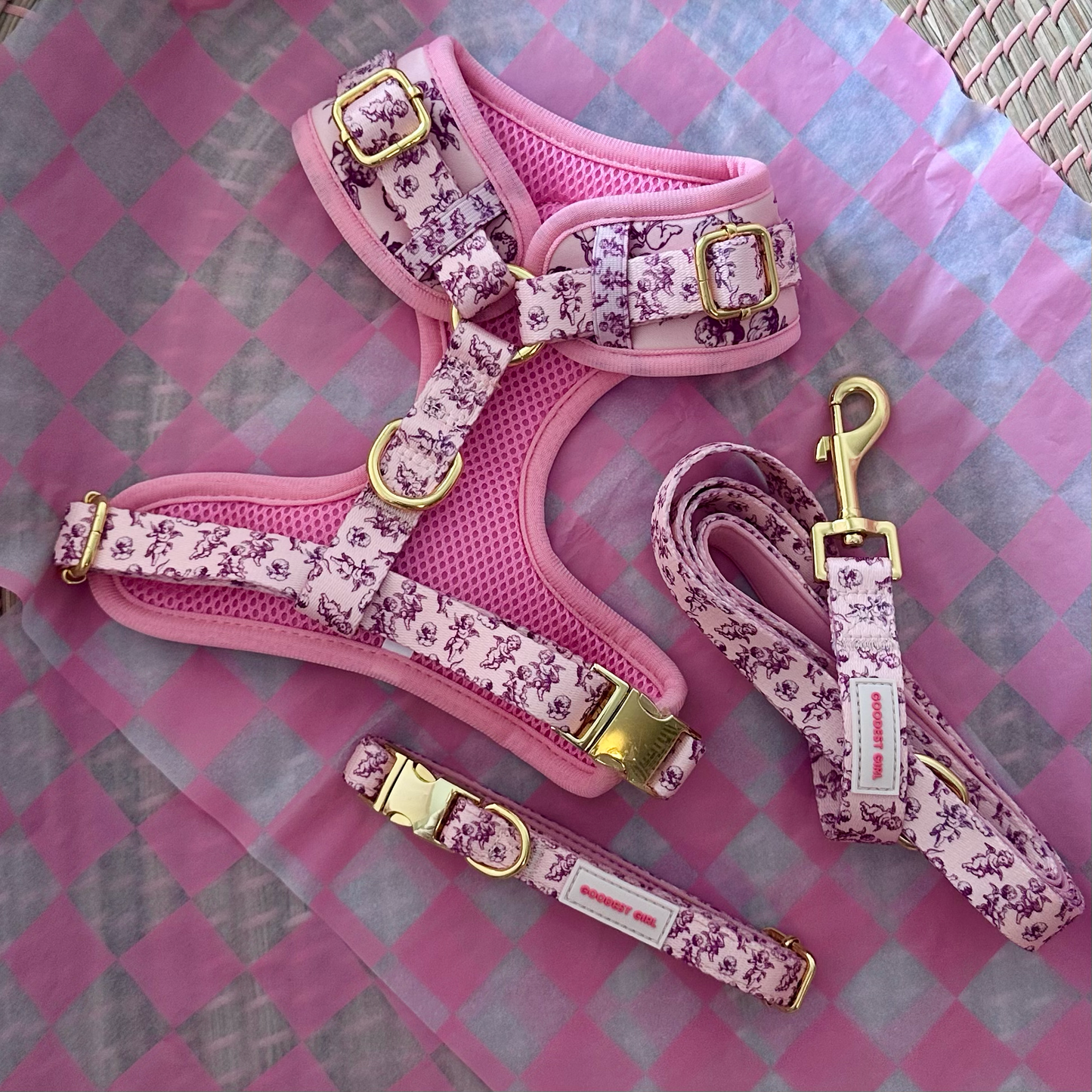 Cupid's Pup Dog Harness, Collar & Lead Bundle - Goodest Girl