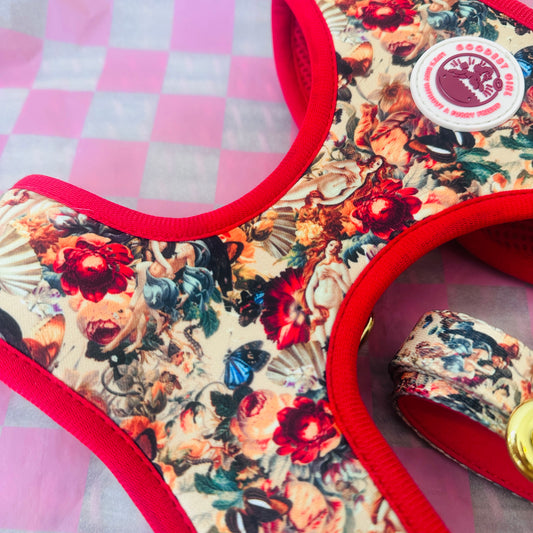Tail of Venus Adjustable Dog Harness