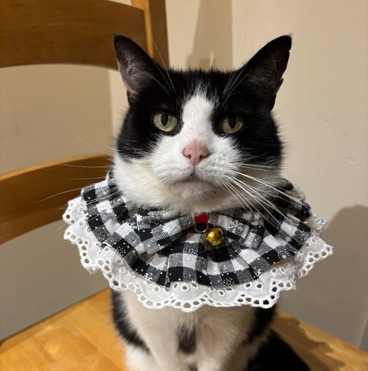 Black and White Jingle Bell Ruffle Dog Collar