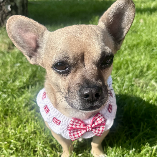 Scalloped Houndstooth Crochet Dog Collar in Red & White - Goodest Girl