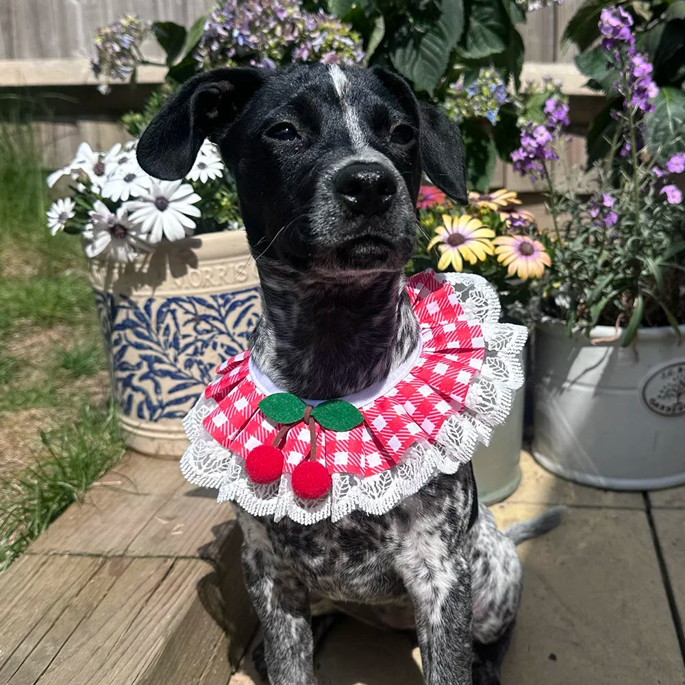 Red Cherry Gingham Lace Ruffle Dog Collar - Goodest Girl
