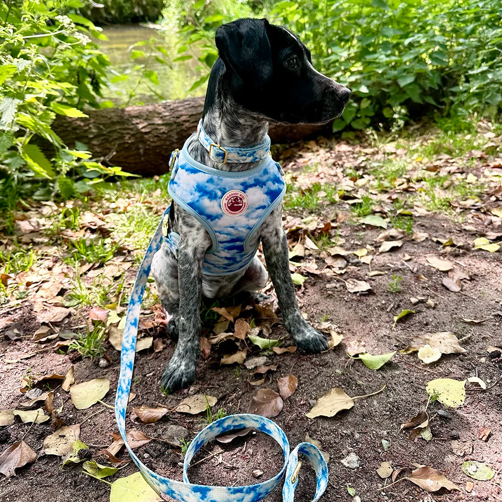 Heavenly Hound Adjustable Dog Harness - Goodest Girl