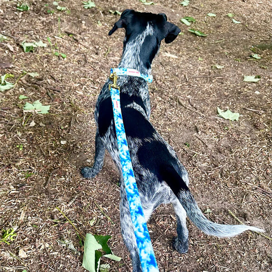 Heavenly Hound Adjustable Dog Collar - Goodest Girl