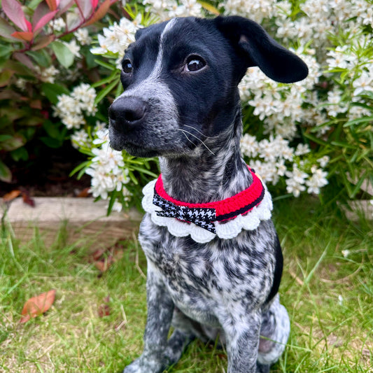 Red/Black Scalloped Edge Soft Knitted Dog Collar - Goodest Girl