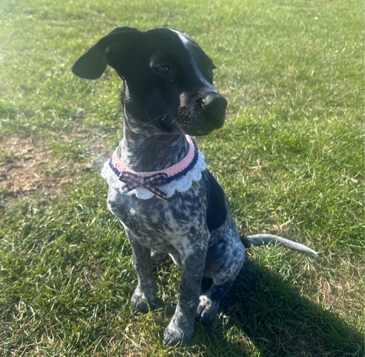 Pink/Black Scalloped Edge Soft Knitted Dog Collar - Goodest Girl