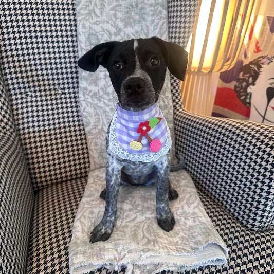 Lilac Gingham Dog Bandana With Patchwork Cherry - Goodest Girl