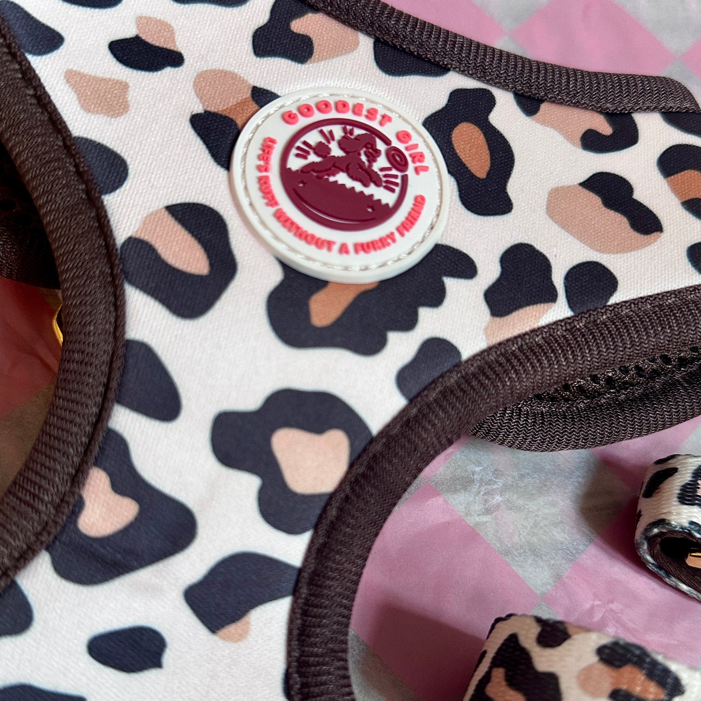 Roars & Paws Adjustable Dog Harness