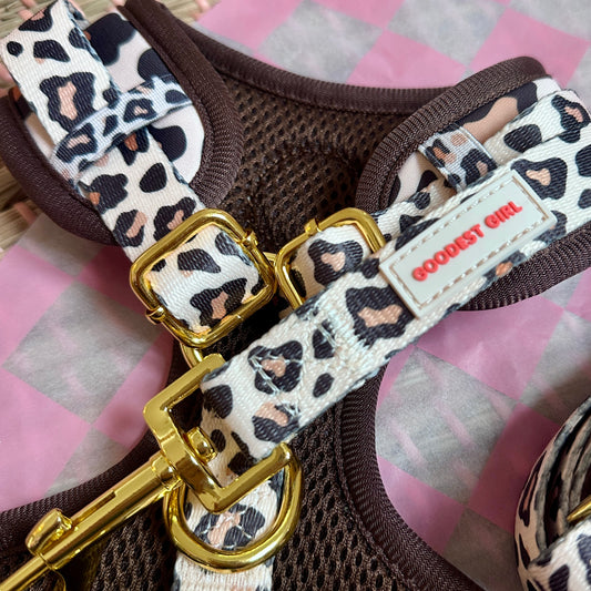 Roars & Paws Adjustable Dog Harness