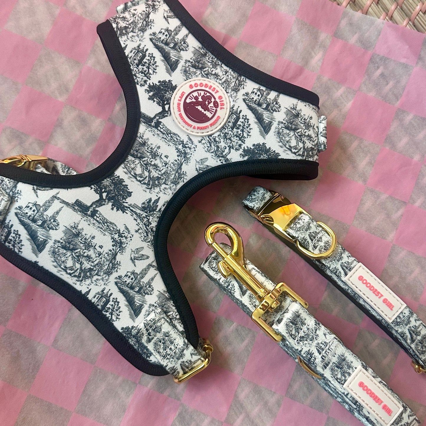 Pup de Jouy Harness, Collar & Lead Bundle