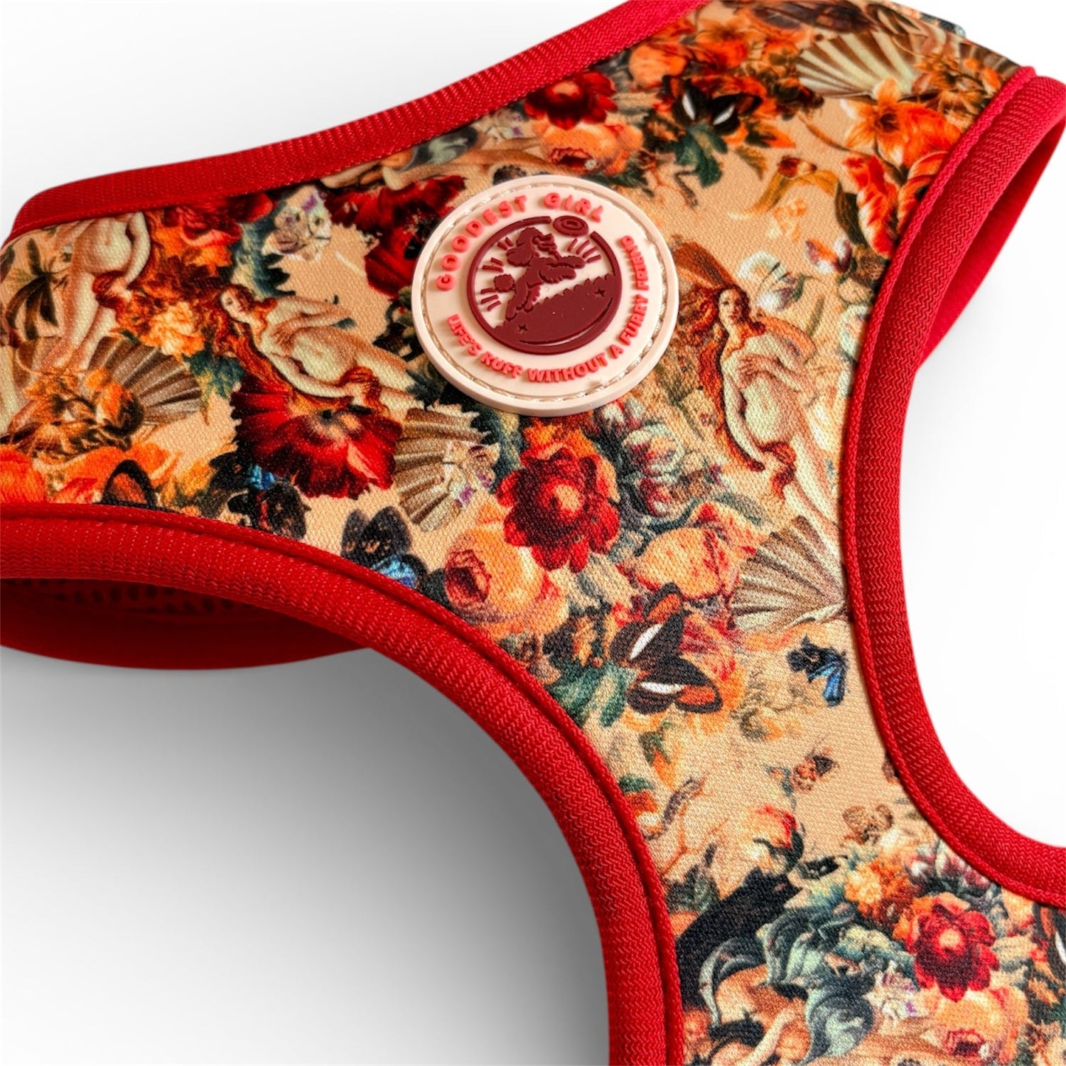 Tail of Venus Collection