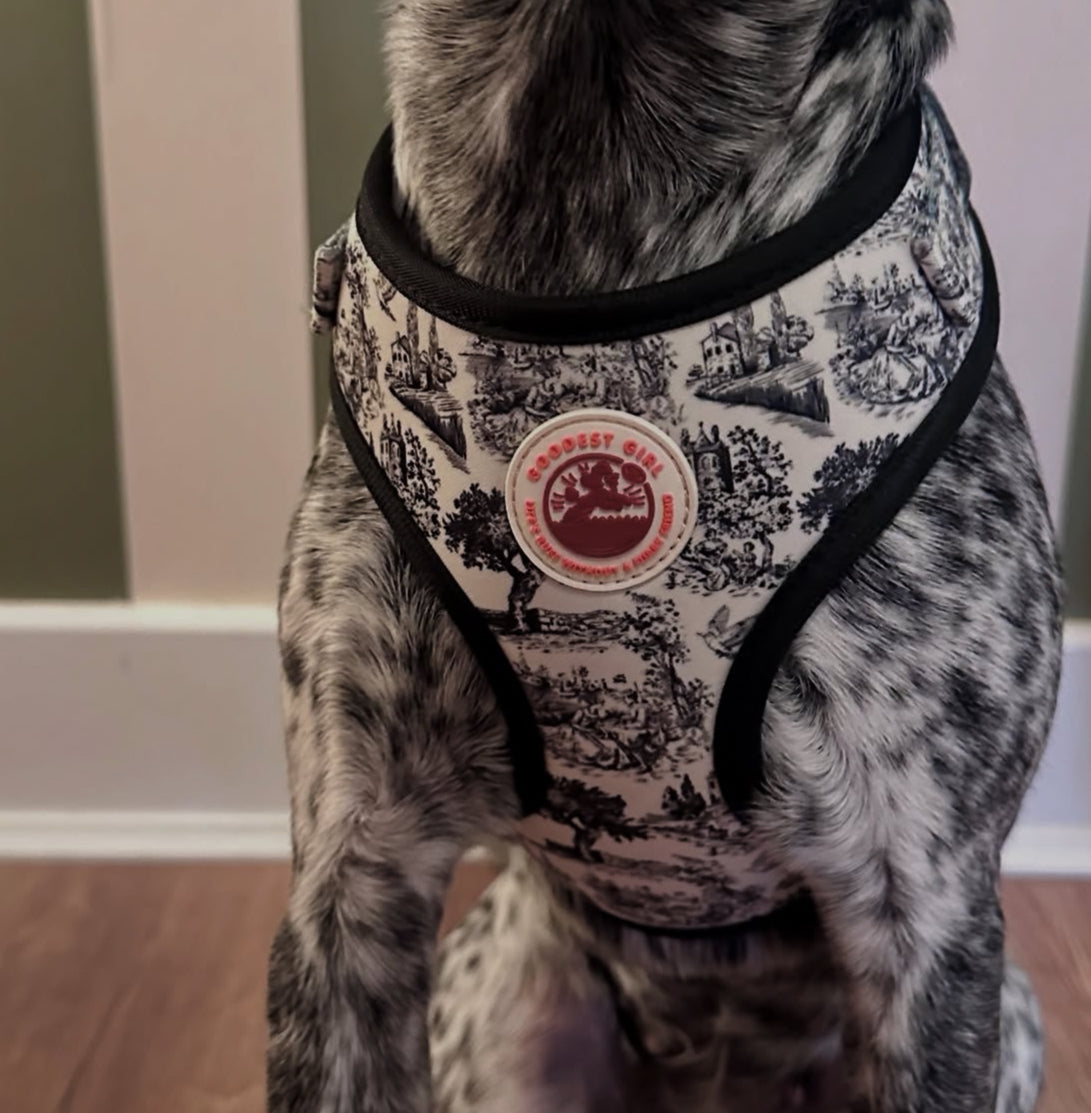 Pup de Jouy Adjustable Dog Harness