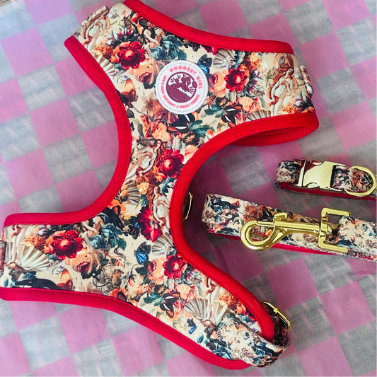 Tail of Venus Adjustable Dog Harness