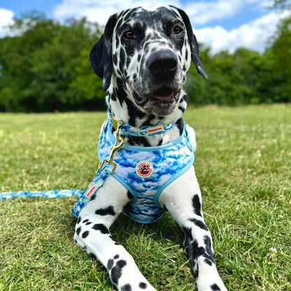 Heavenly Hound Adjustable Dog Harness - Goodest Girl 