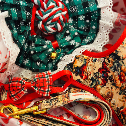 Pawliday Parcel - Dog Christmas Hamper