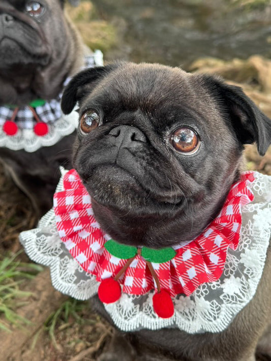 Red Cherry Gingham Lace Ruffle Dog Collar - Goodest Girl 