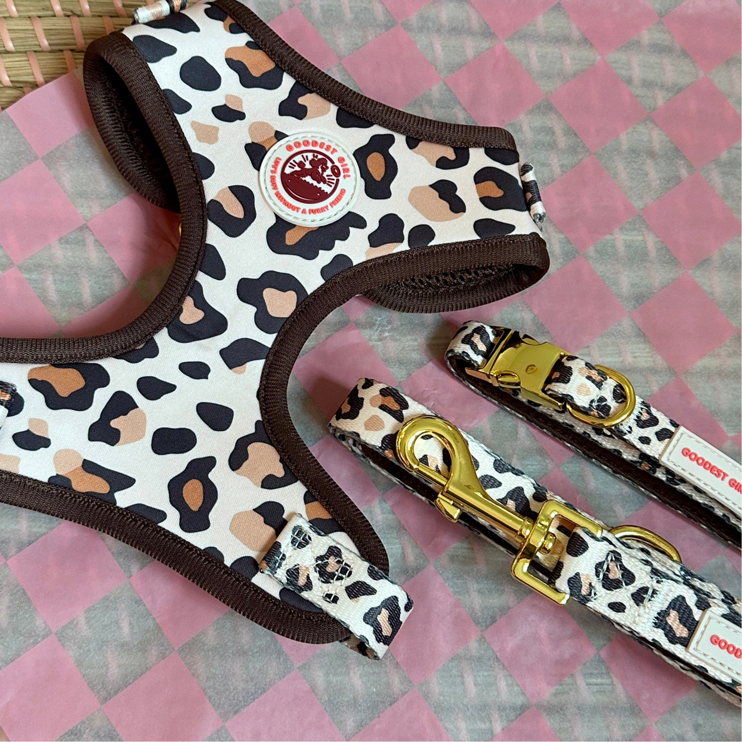 Roars & Paws Dog Harness, Collar & Lead Bundle