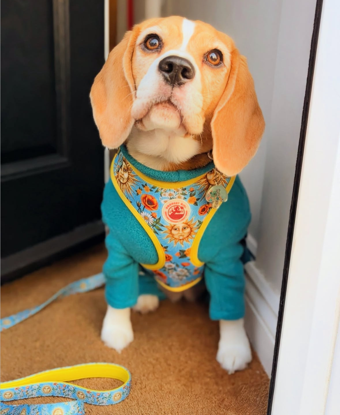 Midsummer Mutt Dog Lead