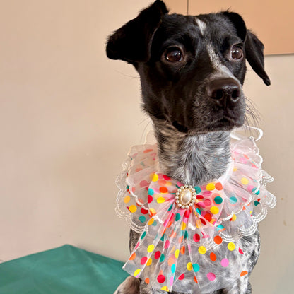 Tulle Confetti Party Dog Ruffle