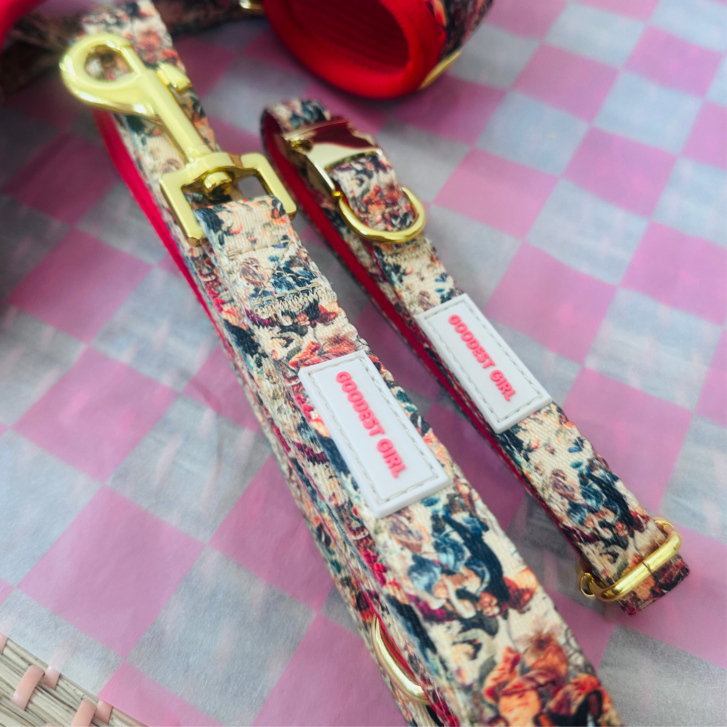 Tail of Venus Dog Lead