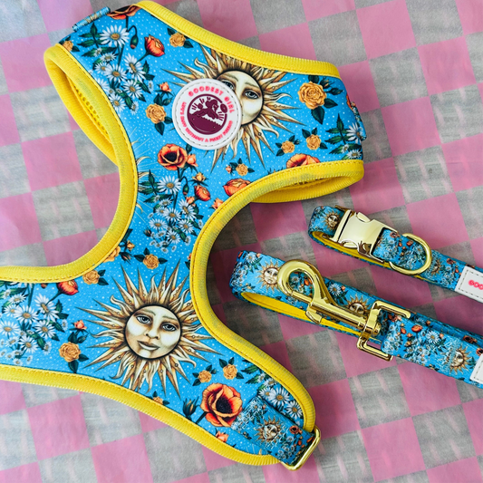 Midsummer Mutt Dog Harness, Collar & Lead Bundle