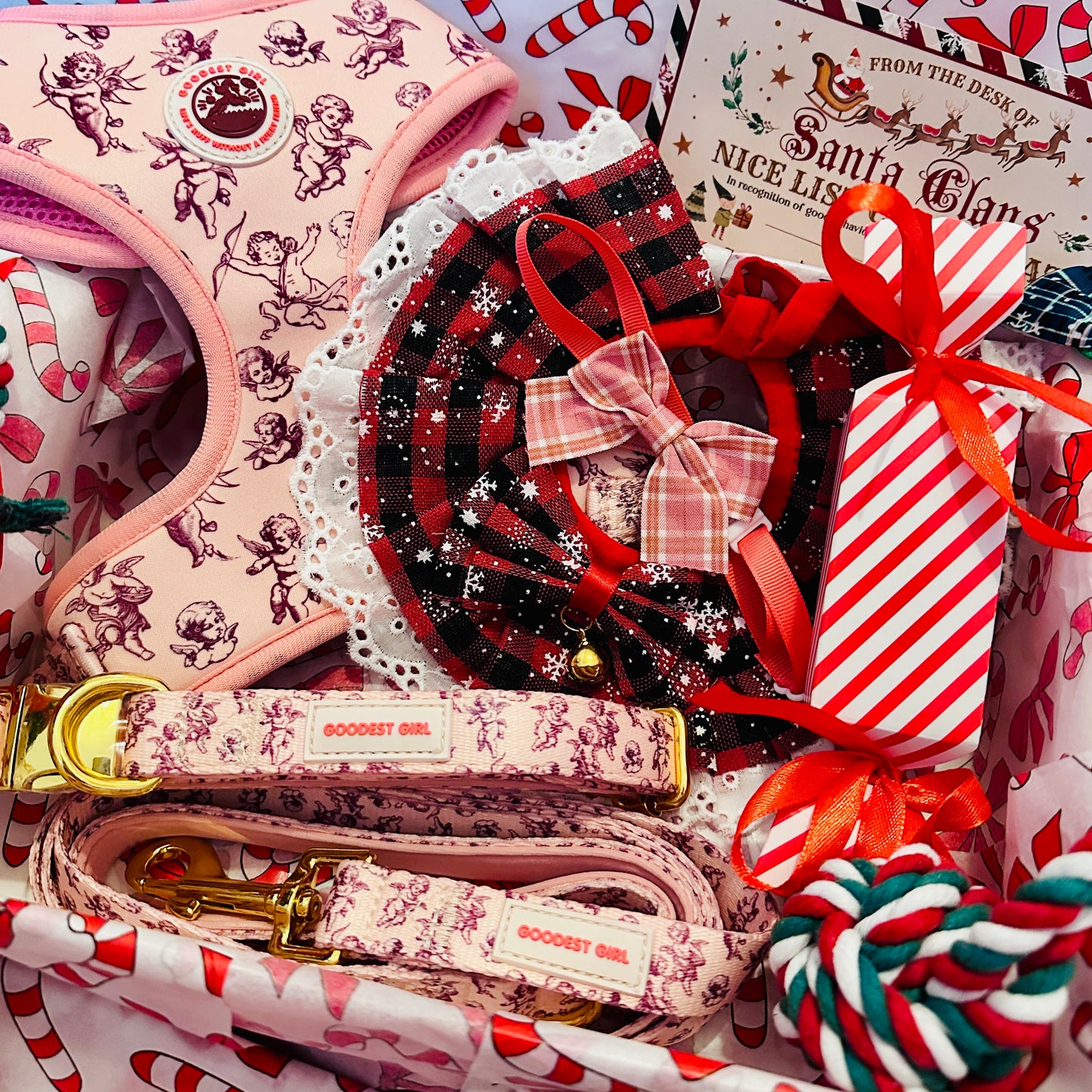 Pawliday Parcel - Dog Christmas Hamper