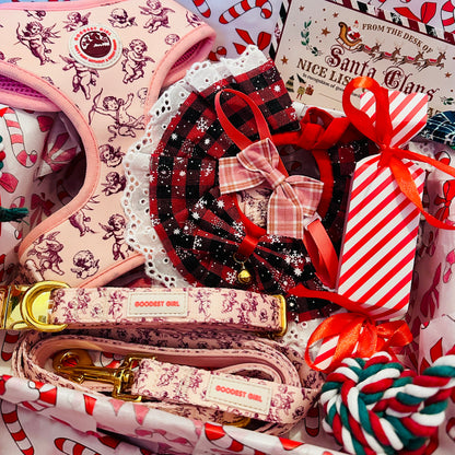 Pawliday Parcel - Dog Christmas Hamper