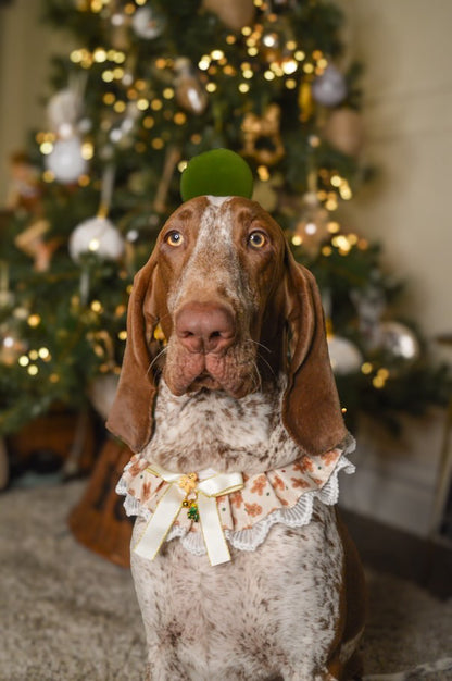 Gingerbread Festive Ruffle Dog Collar