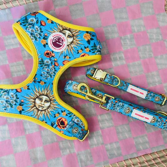 Midsummer Mutt Dog Harness, Collar & Lead Bundle