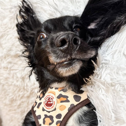 Roars & Paws Adjustable Dog Harness