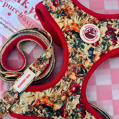 Tail of Venus Dog Harness, Collar & Lead Bundle