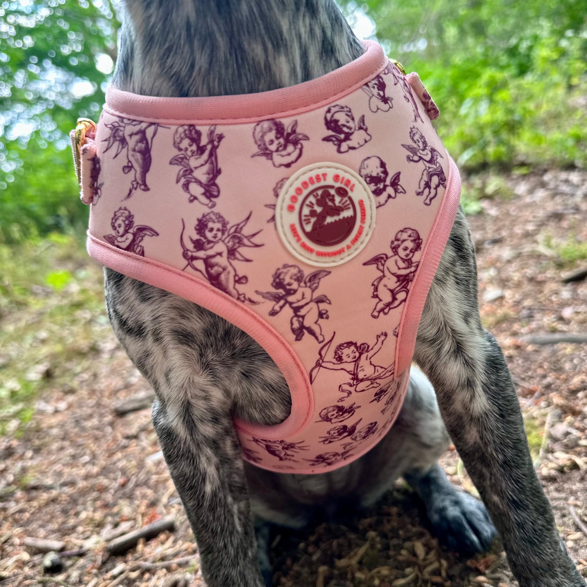 Cupid's Pup Adjustable Dog Harness - Goodest Girl 
