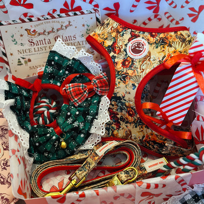 Pawliday Parcel - Dog Christmas Hamper