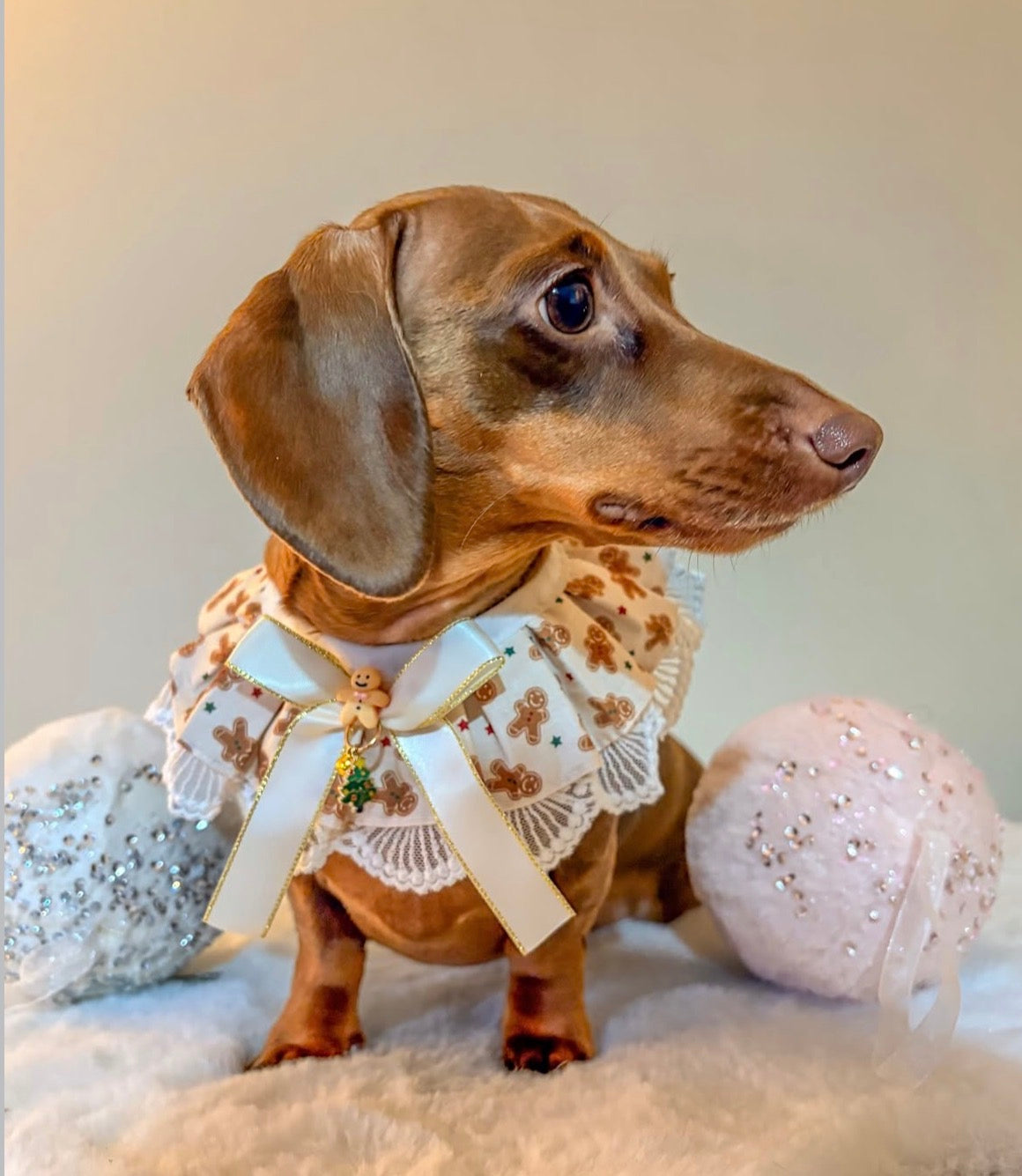 Gingerbread Festive Ruffle Dog Collar