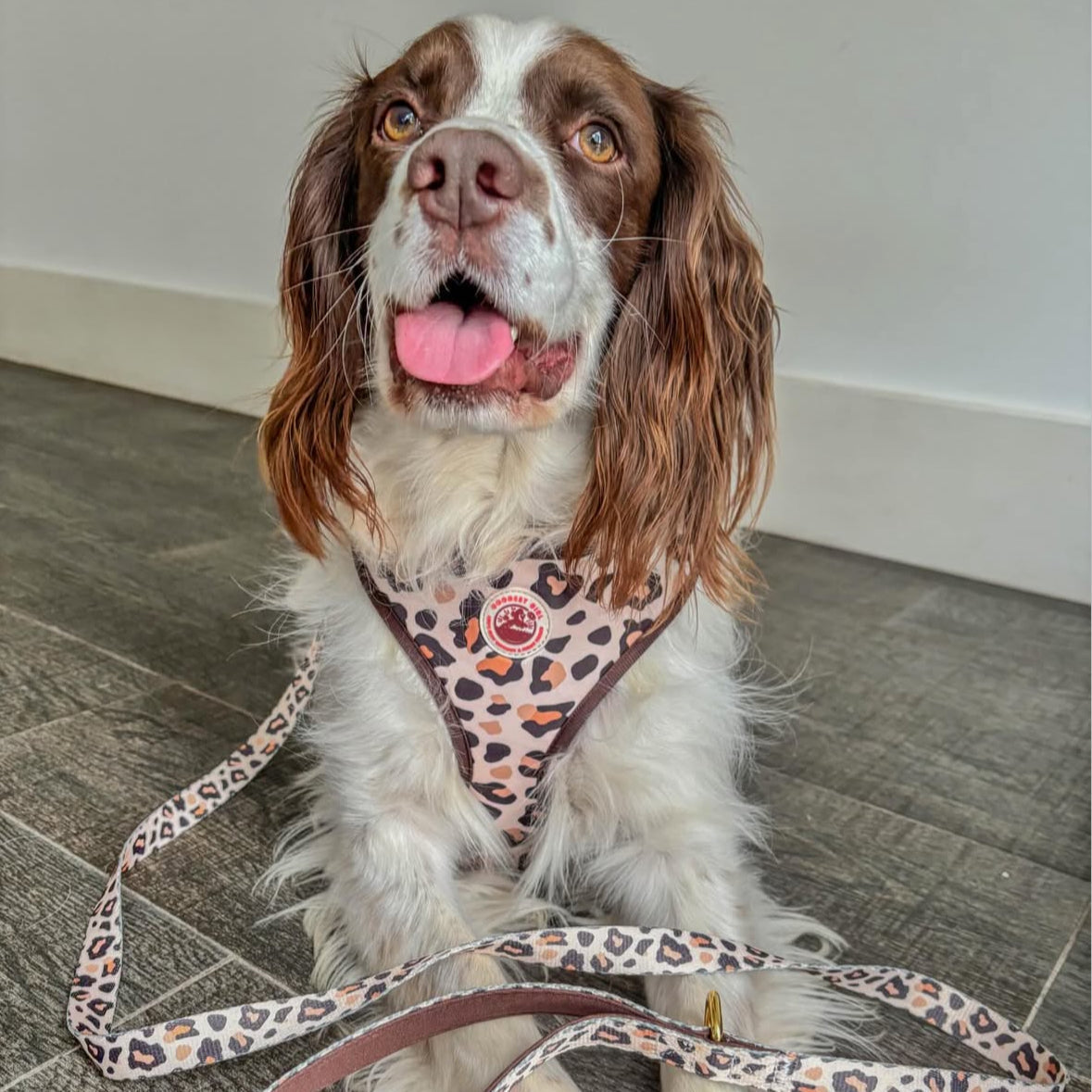 Roars & Paws Dog Lead