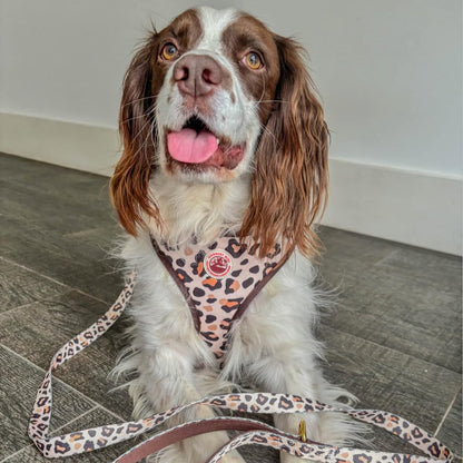 Roars & Paws Dog Lead