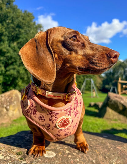 Cupid's Pup Adjustable Dog Harness