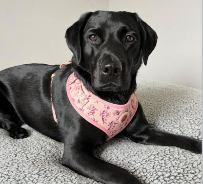 Cupid's Pup Adjustable Dog Harness