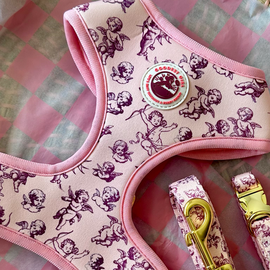 Cupid's Pup Adjustable Dog Harness - Goodest Girl 